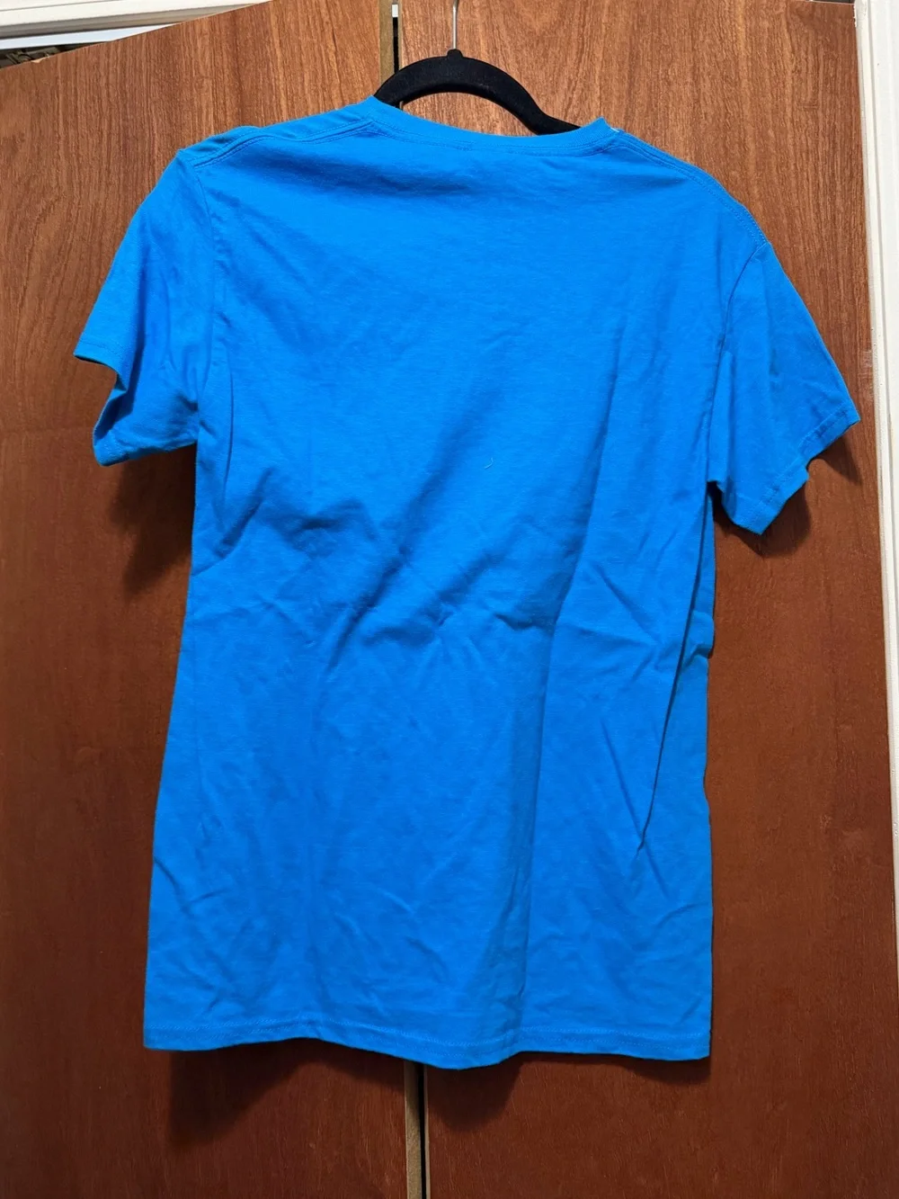 Untamed Cowgirl Graphic Tee - Blue